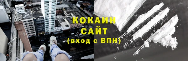 шишки Армянск