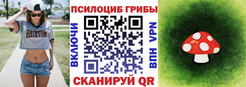 дарк нет клад  Калуга  Псилоцибиновые грибы Psilocybe 